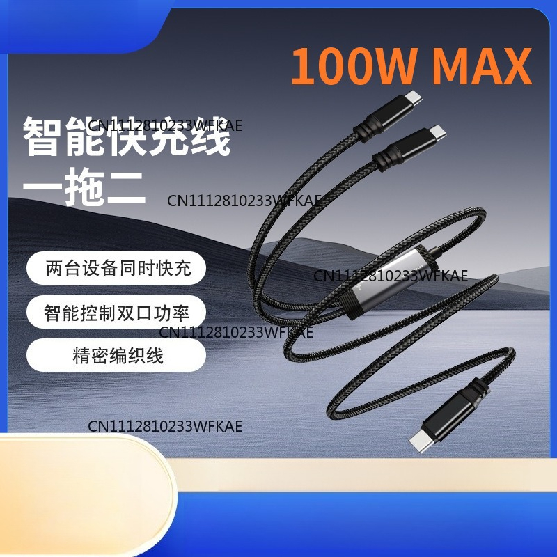 PD100WデュアルCポート急速充電ケーブルAIスマート充電 - Fast Charging Cable のレビューと価格